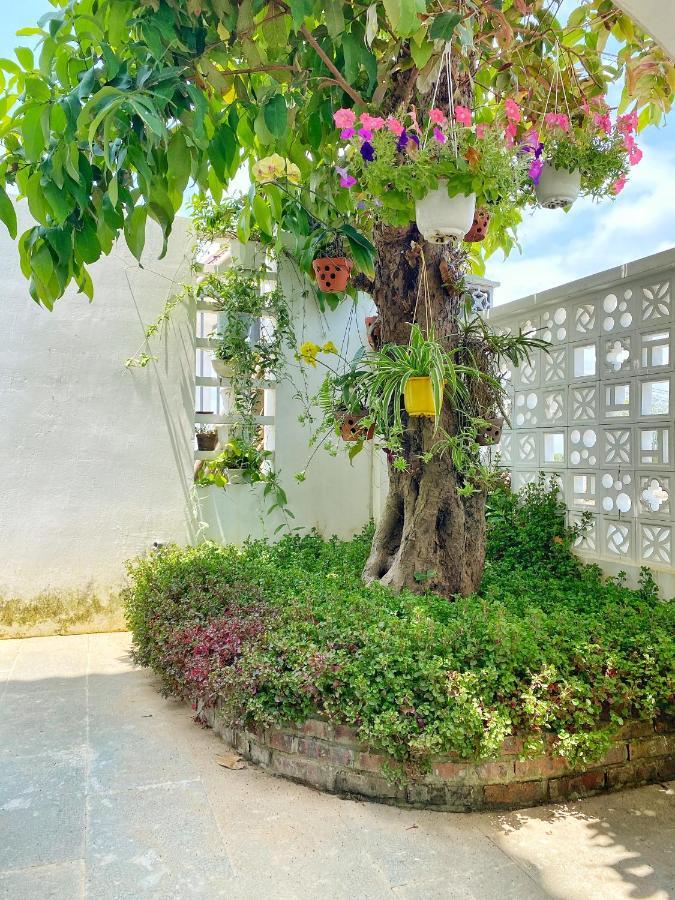 สวนผักกาดขาวฮอยอัน Apartment ภายนอก รูปภาพ